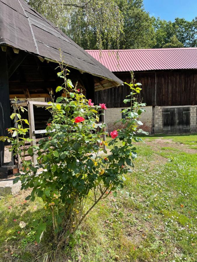 Schellnhof Forsthaus Am Waldrand Leilighet Nidda Eksteriør bilde